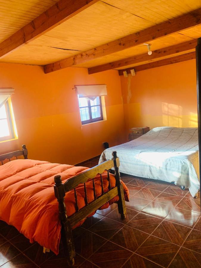 圣佩德罗·德·阿塔卡马 Suri Atacama - Eco H&T旅馆 外观 照片